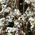 Ostal Arriatge Lezat-sur-Leze