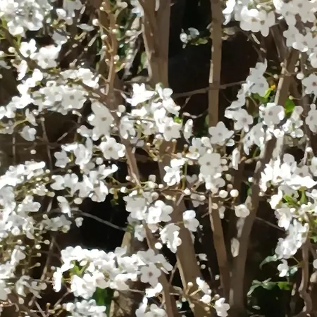 Ostal Arriatge Lezat-sur-Leze